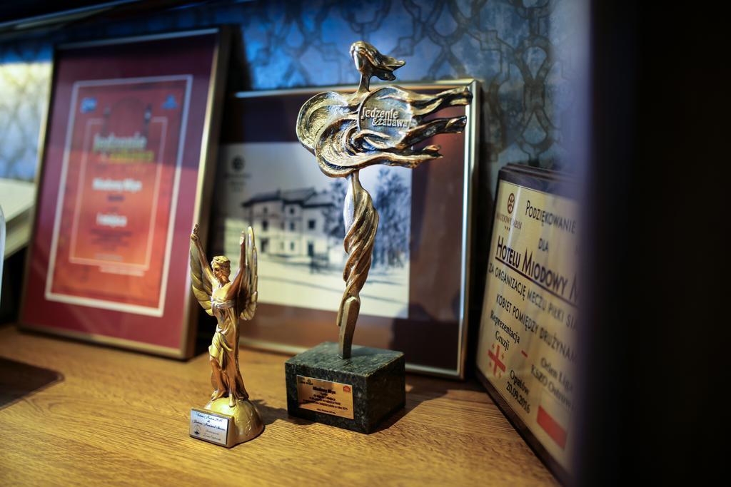 Hotel Miodowy Mlyn Opatow  Εξωτερικό φωτογραφία